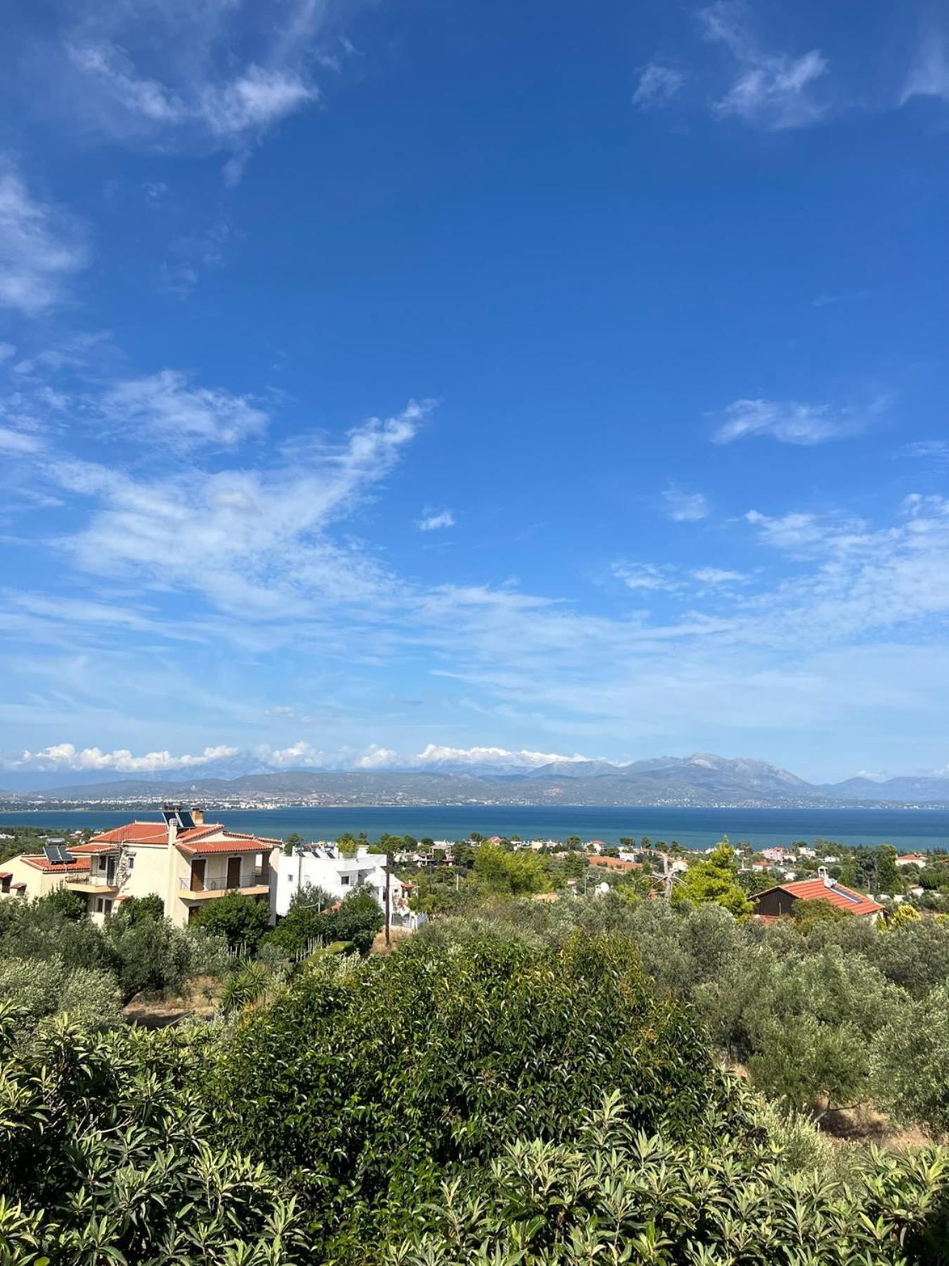 Xenia'S Seaview House Villa Paralia Avlidhos Екстериор снимка