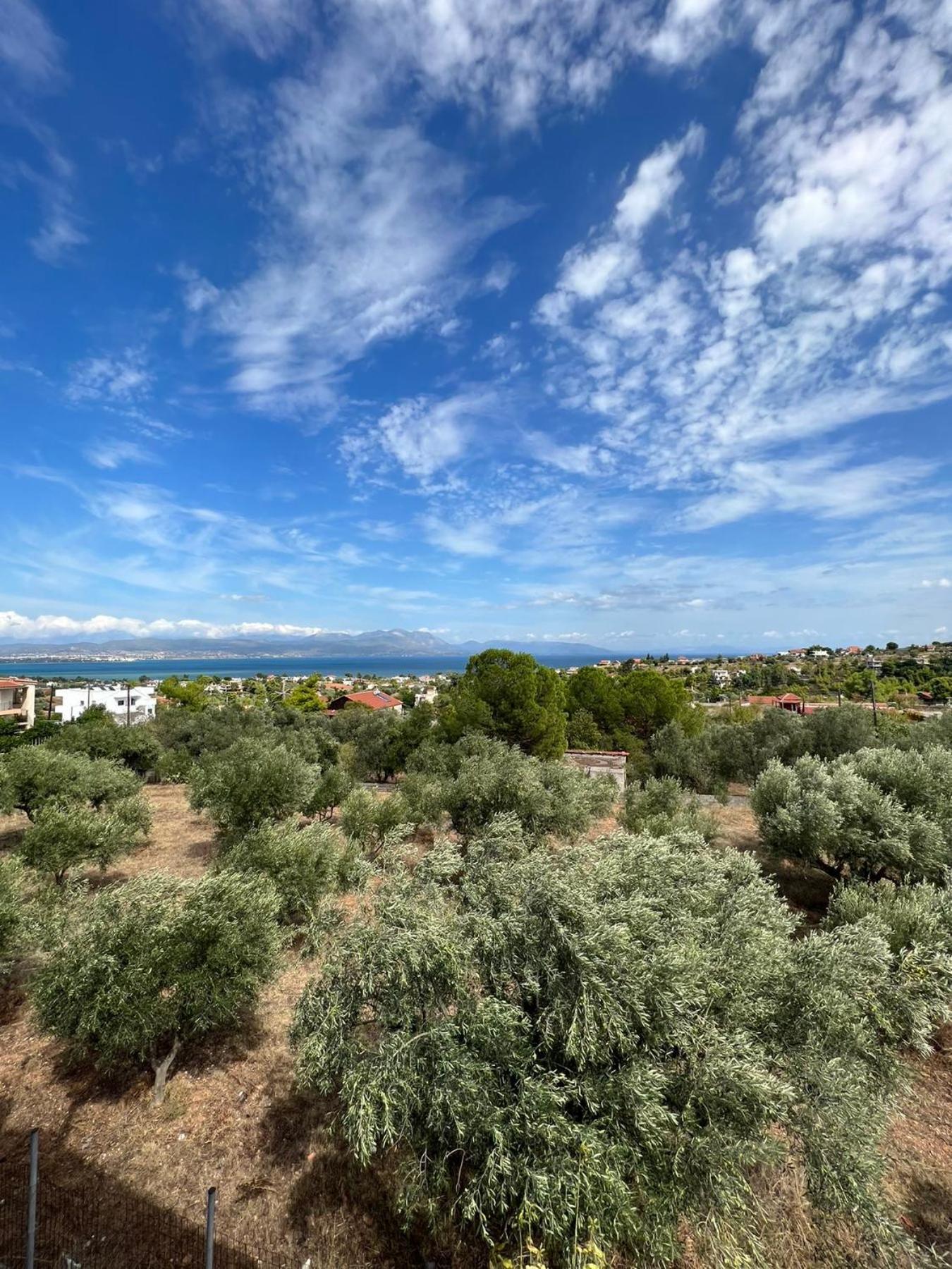 Xenia'S Seaview House Villa Paralia Avlidhos Екстериор снимка